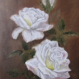 Valkoiset ruusut, 24 x 33, 2018